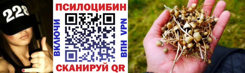 хочу   Холм  Галлюциногенные грибы Magic Shrooms 